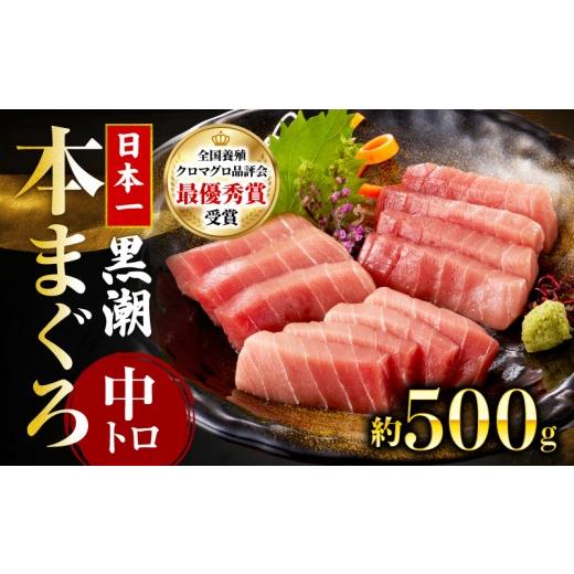 ふるさと納税 寿司 高知県 宿毛市 本マグロ 中トロ 約500g (高知道水) 中トロ 約500g(22,000円)