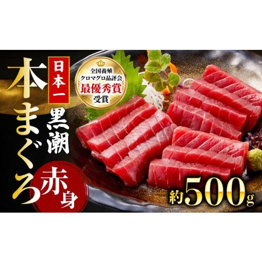 ふるさと納税 寿司 高知県 宿毛市 本マグロ 赤身 約500g (高知道水) 赤身 約500g (17,000円)