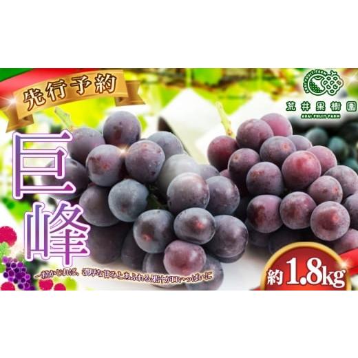 ふるさと納税 ぶどう 巨峰 埼玉県 鴻巣市 先行予約 荒井果樹園の巨峰 約1.8kg / 果物 ぶどう みずみずしい コク 香り高く 皮が薄い 濃厚 甘み ご自宅用 贈…