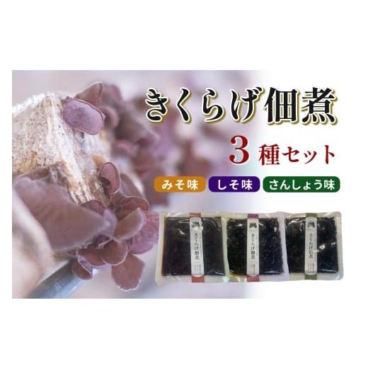 ふるさと納税 惣菜・レトルト 島根県 浜田市 きくらげ佃煮 3種セット(みそ味、しそ味、さんしょう味) 157_0005