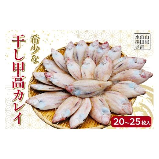 ふるさと納税 魚貝類 島根県 浜田市 先行予約 山陰浜田港水揚げ 希少な干し甲高カレイ(卵入り) カレイ 干物 一夜干し 希少 浜田産 019_1956