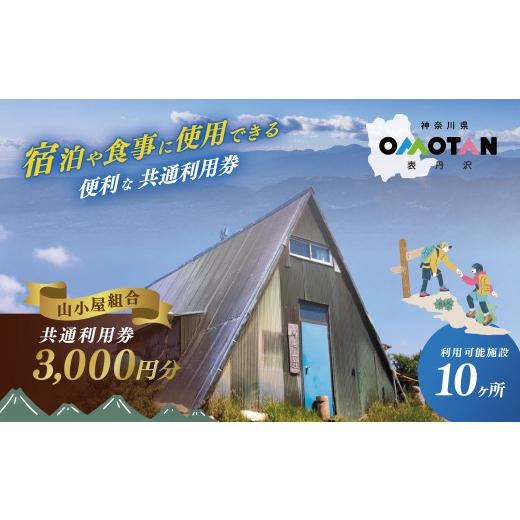 ふるさと納税 宿泊券 旅館・民宿 神奈川県 秦野市 丹沢山小屋組合の利用券3,000円分|宿泊券 利用券 秦野市 表丹沢 アウトドア キャンプ 登山 百名山 関東の山…
