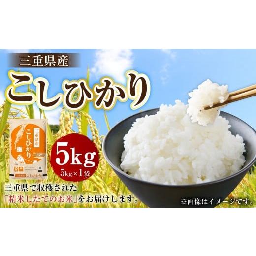 ふるさと納税 米 コシヒカリ 三重県 桑名市 令和7年産 三重県産 コシヒカリ 5kg×1袋 2026年7月下旬頃迄発送予定 米 お米 白米 精米 こしひかり 国産 ご飯 白…