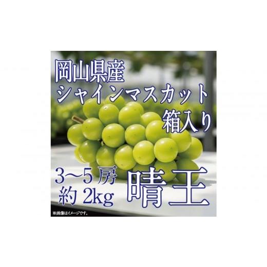 ふるさと納税 ぶどう マスカット 岡山県 岡山市 HS ぶどう先行予約9月・10月発送シャインマスカット晴王2k箱(3〜5房)