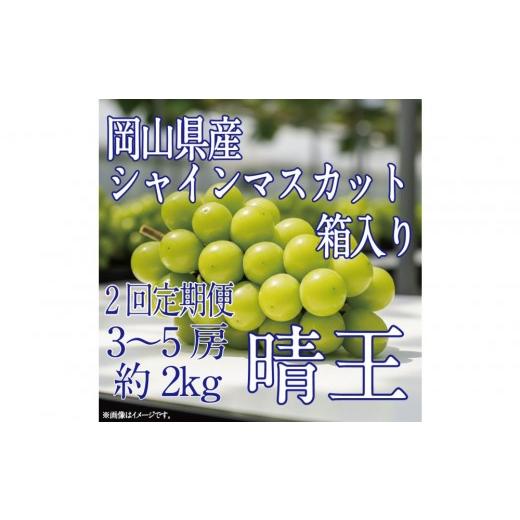 ふるさと納税 果物類 ぶどう 岡山県 岡山市 HS 定期便全2回 ぶどう先行予約9月・10月発送シャインマスカット晴王2k箱(3〜5房)