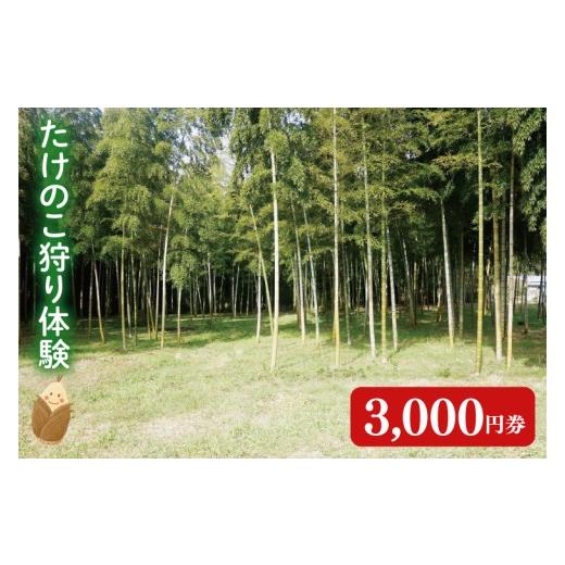 ふるさと納税 体験チケット 茨城県 阿見町 2026年3月下旬より発送開始 『茨城県阿見町』1日2組限定 たけのこ狩り体験 3,000円券|収穫体験 食育 農業体験 自…