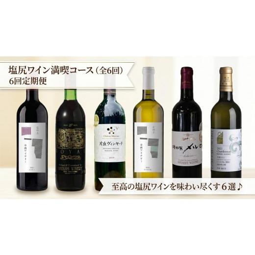 ふるさと納税 ワイン 赤ワイン 長野県 塩尻市 塩尻プレミアムワイン定期便 全6回 | ワイン わいん 塩尻ワイン プレミアム 白 白ワイン 赤 赤ワイン 定期便 飲…