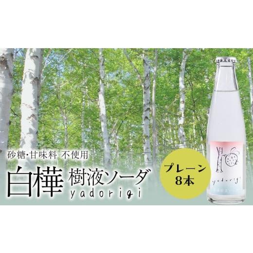 ふるさと納税 炭酸飲料 ソーダ水 北海道 黒松内町 白樺樹液ソーダyadorigi(プレーン)8個 北海道産 国産