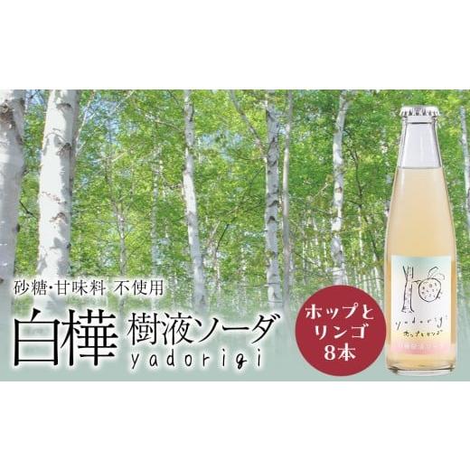 ふるさと納税 炭酸飲料 サイダー 北海道 黒松内町 白樺樹液ソーダyadorigi(ホップとりんご)8個 北海道産 国産