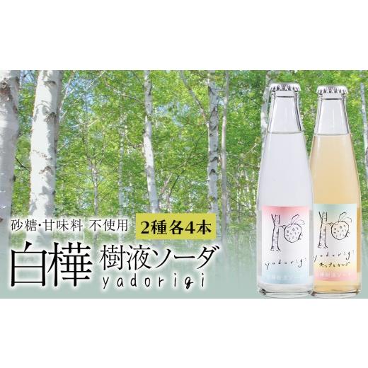 ふるさと納税 炭酸飲料 サイダー 北海道 黒松内町 白樺樹液ソーダyadorigi(プレーン/ホップとりんご)計8個 北海道産 国産