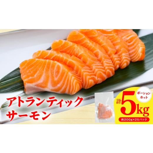 ふるさと納税 鮭・サーモン 大阪府 泉佐野市 アトランティックサーモン 5kg 小分け 200g×25P 柵切り 刺身 魚介 海鮮 さーもん 生食 お試し