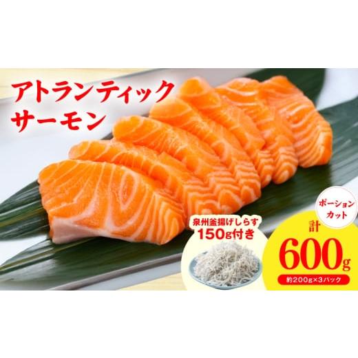 ふるさと納税 鮭・サーモン 大阪府 泉佐野市 アトランティックサーモン 600g+おまけしらす150g 小分け 200g×3P 柵切 しらす シラス sirasu 刺身 魚介 海鮮 さ…