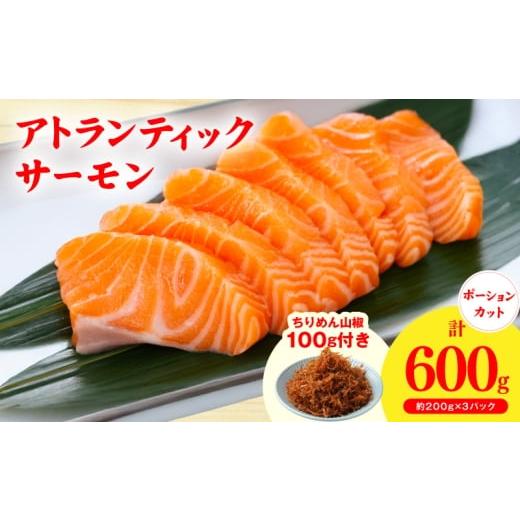 ふるさと納税 鮭・サーモン 大阪府 泉佐野市 アトランティックサーモン 600g+おまけちりめん山椒150g 小分け 200g×3P 柵切 ちりめん 刺身 魚介 海鮮 さーもん…