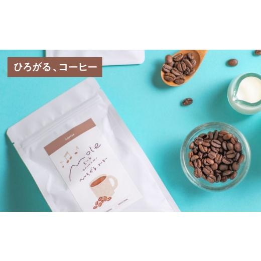 ふるさと納税 コーヒー コーヒー粉 沖縄県 沖縄市 MOLE バラエティセット (コーヒー：中挽き) コーヒー セット 詰め合わせ ギフト スイーツ 父の日 沖縄市 ／ …_7