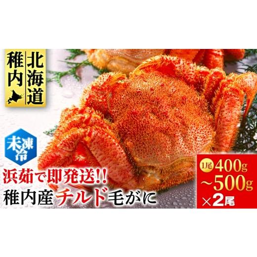ふるさと納税 カニ 毛ガニ 北海道 稚内市 未冷凍でお届け 稚内産チルド毛がに 400〜500g×2尾