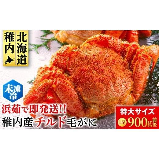 ふるさと納税 カニ 毛ガニ 北海道 稚内市 未冷凍でお届け 稚内産チルド毛がに 900g前後×1尾