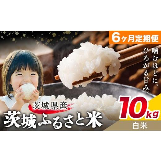 ふるさと納税 米 ブレンド 茨城県 結城市 米 茨城 ふるさと米 白米 10kg 5kg×2袋 6ヶ月定期便 6回お届け 定期便[申込月の翌月より出荷]茨城県 結城市 米 国…