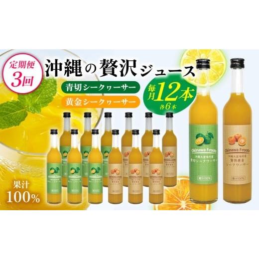 ふるさと納税 果汁飲料 沖縄県 大宜味村 定期便:3回 沖縄の贅沢ジュース 12本 青切シークヮサー・黄金シークヮサー 各6本 KS1010 青切り 黄金 くがに シーク…