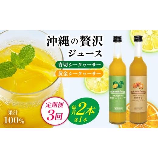 ふるさと納税 果汁飲料 沖縄県 大宜味村  定期便：3回 沖縄の贅沢ジュース 2本 青切シークヮーサー・黄金シークヮーサー KS1002 青切り 黄金 くがに シークヮ…の画像