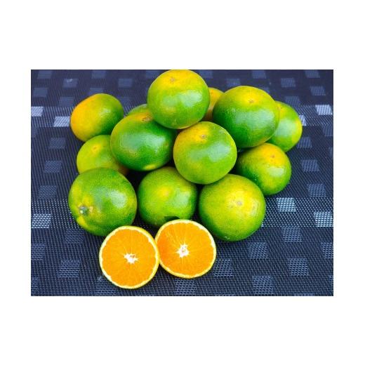 ふるさと納税 果物類 みかん 和歌山県 海南市 先行予約・2026年9月下旬発送開始予定 和歌山産 極早生みかん 5kg 3S〜Sサイズおまかせ [YN-26]橋詰農園