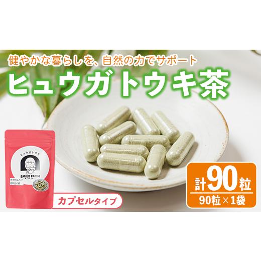 ふるさと納税 お茶類 宮崎県 門川町 ヒュウガトウキ茶 カプセル(90粒×1袋) トウキ茶 お茶 便利 簡単 生薬 ヒュウガトウキ 日本山人参 宮崎県産 国産 SF-02 SM…