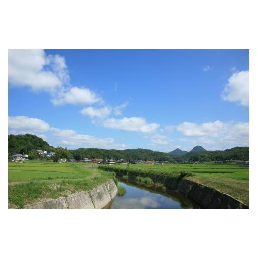 ふるさと納税 電化製品 富山県 朝日町 草刈り機 ナイロンカッター ぐるがり31型K コード3本付 1個 株式会社ナゴシ 富山県 朝日町 34310576 草刈り機 草刈り ナ…の画像