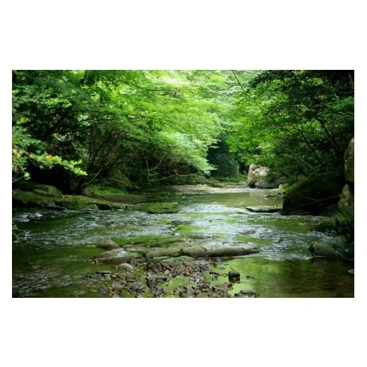 ふるさと納税 電化製品 富山県 朝日町 草刈り機 ナイロンカッター ぐるがり31型K コード3本付 1個 株式会社ナゴシ 富山県 朝日町 34310576 草刈り機 草刈り ナ…の画像