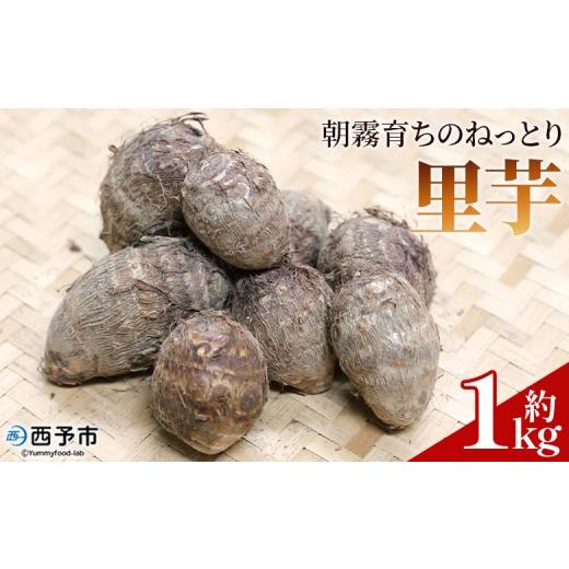 ふるさと納税 野菜類 愛媛県 西予市 朝霧育ちのねっとり里芋 約1kg 野菜 やさい さといも サトイモ 国産里芋 愛媛県産 野村町 ねっとり 粘り ほくほく もちも…
