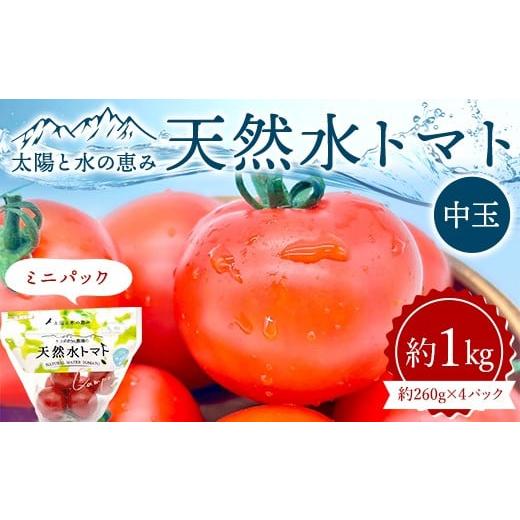 ふるさと納税 野菜類 トマト 福島県 白河市 太陽と水の恵み 天然水トマト 中玉 ミニパック 約1kg F25R-067