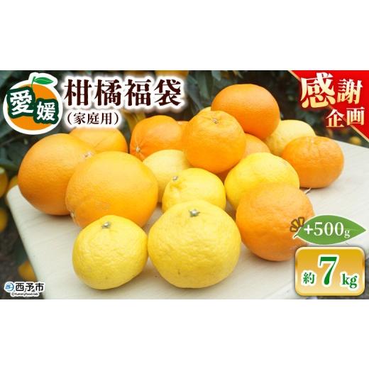 ふるさと納税 みかん・柑橘類 愛媛県 西予市 笑丸のお楽しみ柑橘福袋(家庭用)約7kg+500g 感謝企画 自宅用 訳あり 果物 くだもの フルーツ ミカン みかん …