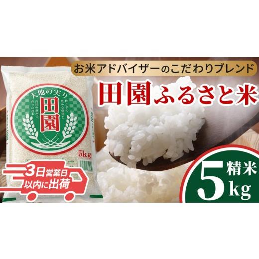 ふるさと納税 米 茨城県 城里町 ＼最短3営業日以内出荷/ 田園ふるさと米 精米 5kg 令和7年産 精米 米 コメ こめ 限定 国産 美味しい お米 おこめ おコメ 茨城…
