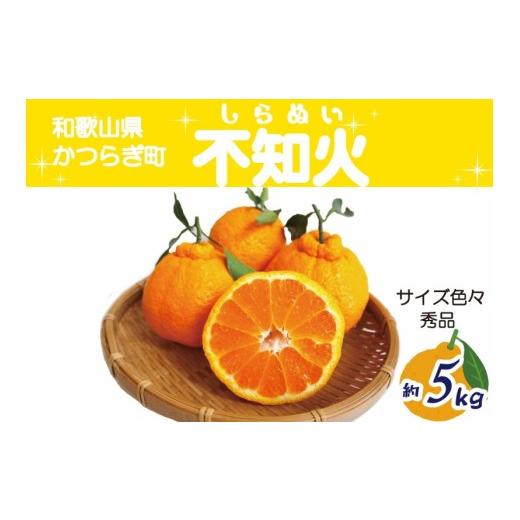 ふるさと納税 みかん・柑橘類 和歌山県 かつらぎ町 愛情いっぱい不知火サイズ色々約5kg 秀品 2026年2月中旬〜2026年4月中旬発送 A-frks191