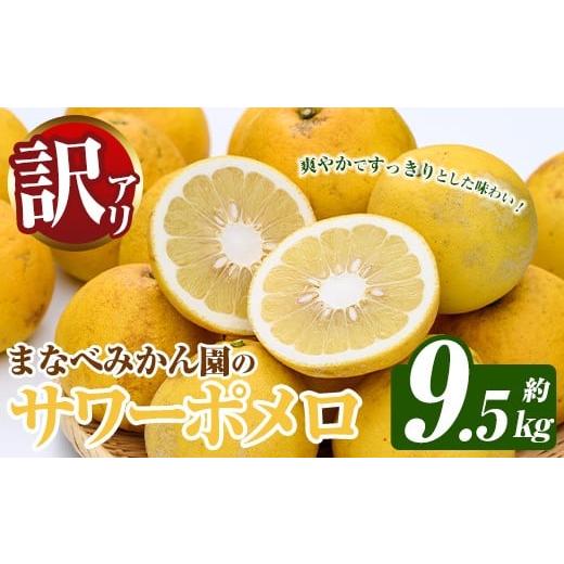 ふるさと納税 みかん・柑橘類 鹿児島県 阿久根市 訳あり まなべみかん園のサワーポメロ (約9.5kg) 国産 鹿児島県産 阿久根市産 柑橘類 みかん ミカン 蜜柑 果…