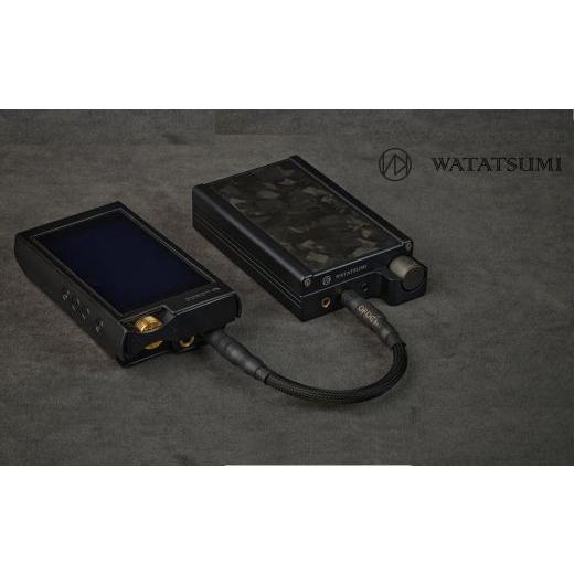 ふるさと納税 TV・オーディオ・カメラ 群馬県 玉村町 WATATSUMI ポータブルアンプ 高音質 ブリスオーディオ