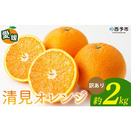 ふるさと納税 果物類 みかん 愛媛県 西予市 清見オレンジ 訳あり 約2kg 柑橘 みかん ミカン 蜜柑 果物 くだもの フルーツ きよみ キヨミ 訳アリ ご自宅用 国…