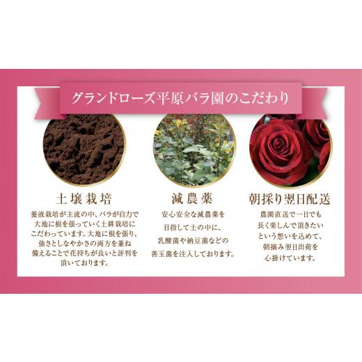 ふるさと納税 花・苗木 花束 愛知県 田原市 薔薇のアレンジメント プレミアム 花束 最上級 30本 (50cm) ブーケ 薔薇 ローズ 生花 《指定日可》バラのアレンジ…の画像