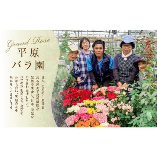 ふるさと納税 花・苗木 花束 愛知県 田原市 薔薇のアレンジメント プレミアム 花束 最上級 30本 (50cm) ブーケ 薔薇 ローズ 生花 《指定日可》バラのアレンジ…の画像