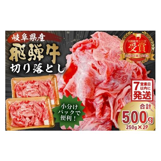 ふるさと納税 牛肉 岐阜県 可児市 飛騨牛切り落とし500g(250g×2) 牛肉 カレー シチュー 牛丼 肉じゃが 牛しぐれ煮 牛すき煮 炒め物 食品 肉 国産 和牛 ブラ…