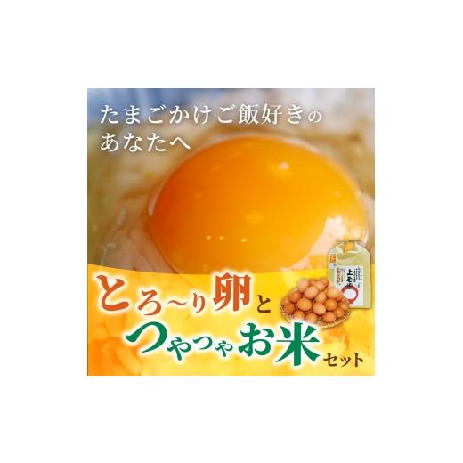 ふるさと納税 卵（鶏、烏骨鶏等） 福岡県 上毛町 上毛町産の「たまごかけご飯セット」（卵40個・米3kg）（専用醤油なし版） C01807