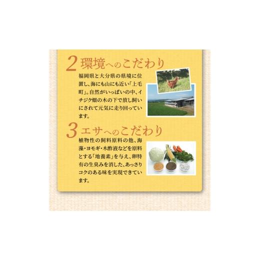ふるさと納税 卵（鶏、烏骨鶏等） 福岡県 上毛町 上毛町産の「たまごかけご飯セット」（卵40個・米3kg）（専用醤油なし版） C01807