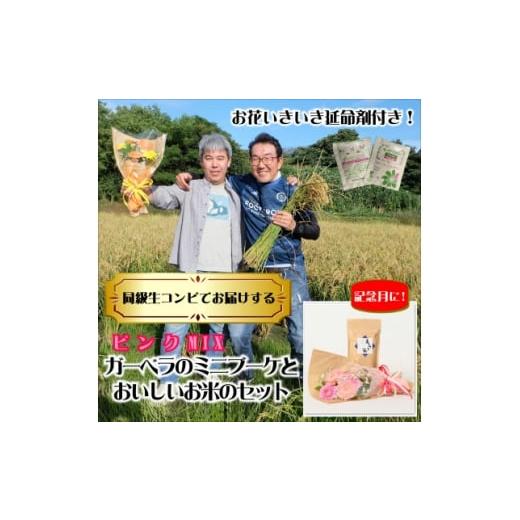 ふるさと納税 米 静岡県 磐田市 2月発送 同級生コンビでお届けするガーベラピンクブーケとおいしいお米のセット・お花長持ち栄養剤付き 1708216