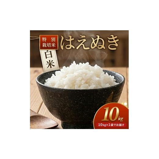 ふるさと納税 米 はえぬき 山形県 遊佐町 特別栽培米 10kg 白米 令和7