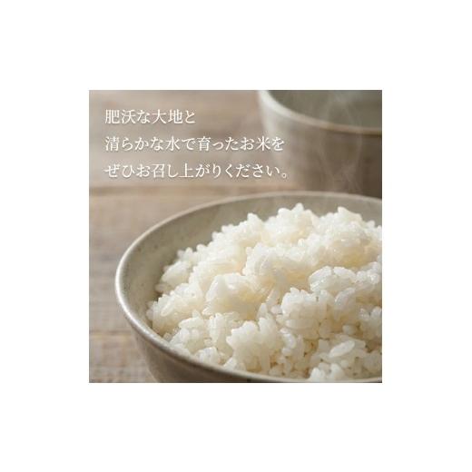 ふるさと納税 米 はえぬき 山形県 遊佐町 特別栽培米 10kg 白米 令和7