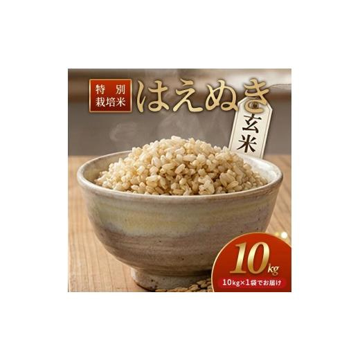ふるさと納税 米 はえぬき 山形県 遊佐町 特別栽培米 はえぬき 10kg 玄米 令和7年産 山形県産 東北 山形県 遊佐町 庄内地方 米 お米 庄内米 ご飯 ごはん 産地…
