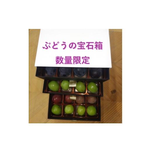 ふるさと納税 ぶどう 巨峰 山梨県 山梨市 2026年先行受付 ぶどうが光り輝く宝石に 牧丘天空の丘ブランドぶどうの宝石箱 約700g 1705539