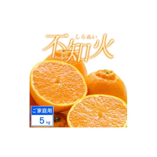 ふるさと納税 みかん・柑橘類 デコポン 愛媛県 八幡浜市 ご家庭用 不知火 5kg みかん 愛媛県 八幡浜市 西宇和地区 C25-388 _ ご家庭用 不知火 5kg みかん 愛…