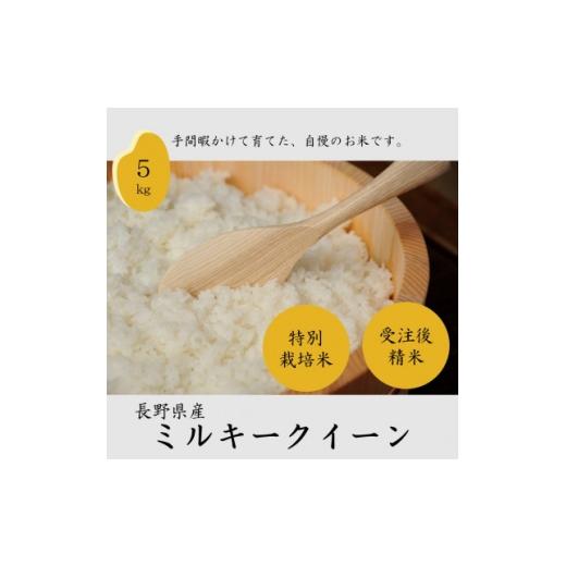 ふるさと納税 米 長野県 茅野市 長野県産特別栽培米 ミルキークイーン 精米 5kg 1716824