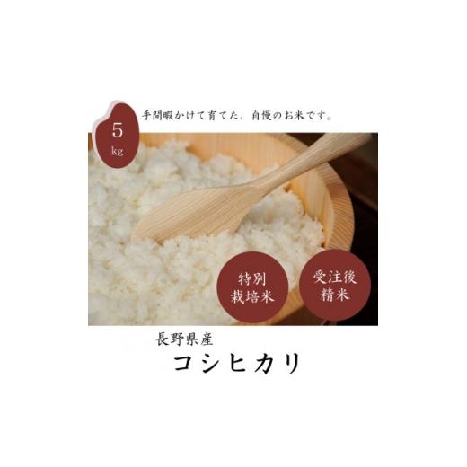 ふるさと納税 米 長野県 茅野市 長野県産特別栽培米 コシヒカリ 精米 5kg 1716831