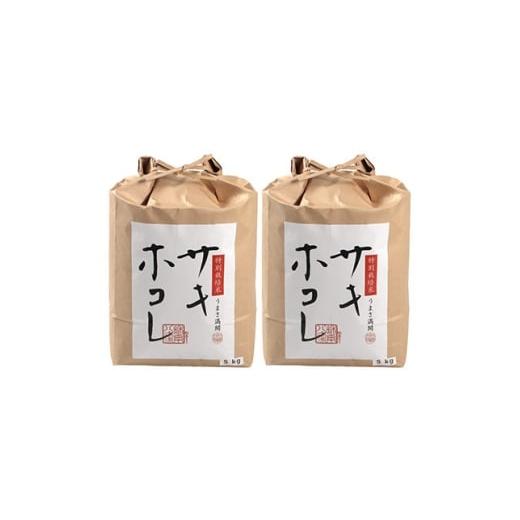 ふるさと納税 米 秋田県 大潟村 3ヵ月毎定期便 特別栽培米サキホコレ10kg(5kgx2)全2回 4083097