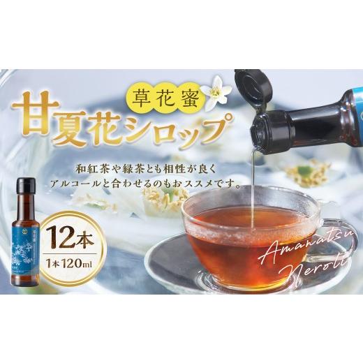 ふるさと納税 果汁飲料 みかん 熊本県 水俣市 草花蜜 甘夏花 Amanatsu Neroli 120ml×12本 計1440ml 甘夏みかん 香り シロップ ネロリ 甘夏シロップ フルーツ…の画像